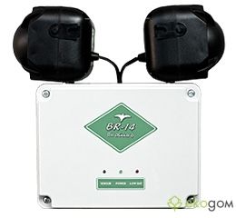 Sonic bird repeller