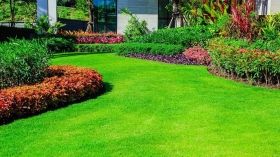  BIOPON универсална трева 0.5 кг