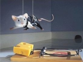 BROS – rat trap - metal