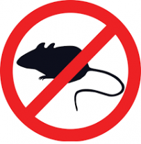BROS – mouse trap - plastic