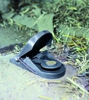 Trap mouse Super Cat 2 pcs. / Art.№ SW1016000