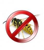 BROS – wasp trap refill 200ml / Арт. №BS 089