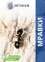мравки