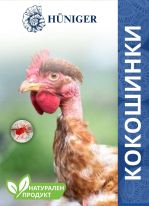 кокошинки