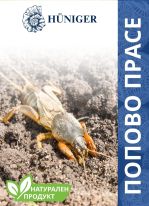 попово прасе