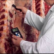 'p300' professional digital thermometer 