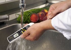  'DualTemp Pro' infrared-probe thermometer 