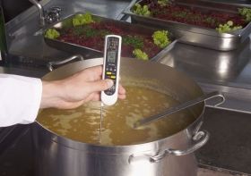  'DualTemp Pro' infrared-probe thermometer 