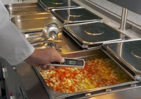  'DualTemp Pro' infrared-probe thermometer 