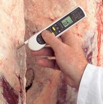  'DualTemp Pro' infrared-probe thermometer 