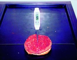 Probe thermometer