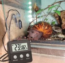 Digitales Thermometer Hygrometer  TERRACHECK