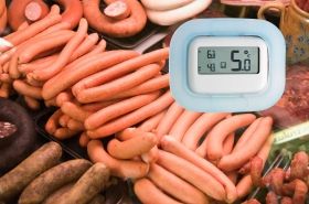 Fridge-Thermometer